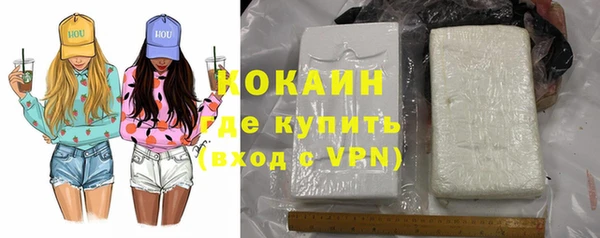 сатива Белокуриха