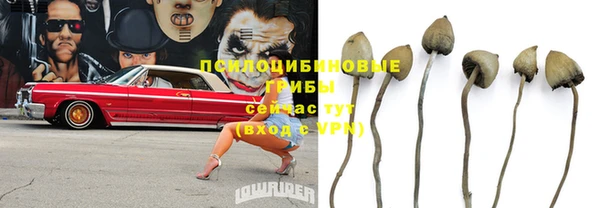 мескалин Беломорск