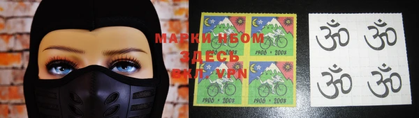 сатива Белокуриха
